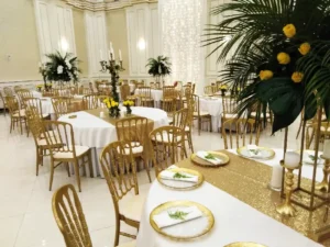 Napoleon stolice se koriste u najluksuznijim svetskim hotelima, na crvenim tepisima, gala večerama i venčanjima širom sveta.