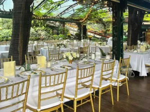 Iznajmite Tiffany stolice za venčanja, rođendane i proslave. Elegantno, kvalitetno i uz brzu dostavu na vašu lokaciju.