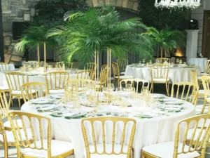 Stolice za Venčanje | Napoleon Stolice | DND event