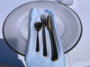 Svetlo plave salvete iznajmljivanje